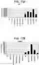 Fig. 17 - Differentiation of human embryonic stem cells