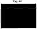 Fig. 19 - Differentiation of human embryonic stem cells