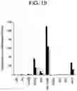 Fig. 22 - Differentiation of human embryonic stem cells