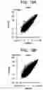 Fig. 23 - Differentiation of human embryonic stem cells