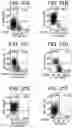 Fig. 38 - Differentiation of human embryonic stem cells
