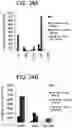 Fig. 41 - Differentiation of human embryonic stem cells
