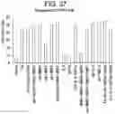 Fig. 44 - Differentiation of human embryonic stem cells