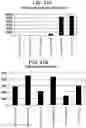 Fig. 48 - Differentiation of human embryonic stem cells