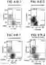 Fig. 50 - Differentiation of human embryonic stem cells