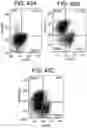 Fig. 55 - Differentiation of human embryonic stem cells