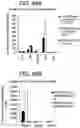 Fig. 56 - Differentiation of human embryonic stem cells