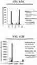 Fig. 57 - Differentiation of human embryonic stem cells