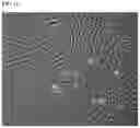 Fig. 12 - Methods and products for transfection