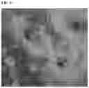 Fig. 13 - Methods and products for transfection