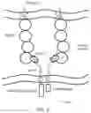 Fig. 04 - Cell