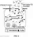 Fig. 03 - ANTIGEN-BINDING MOLECULE CAPABLE OF BINDING TO TWO OR MORE ANTIGEN MOLECULES REPEATEDLY