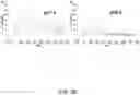 Fig. 27 - ANTIGEN-BINDING MOLECULE CAPABLE OF BINDING TO TWO OR MORE ANTIGEN MOLECULES REPEATEDLY