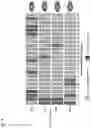 Fig. 12 - Systems and methods for host cell improvement utilizing epistatic effects
