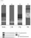 Fig. 14 - Systems and methods for host cell improvement utilizing epistatic effects