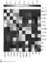 Fig. 17 - Systems and methods for host cell improvement utilizing epistatic effects