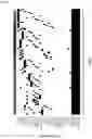 Fig. 27 - Systems and methods for host cell improvement utilizing epistatic effects