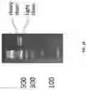 Fig. 11 - Single cell bar-coding for antibody discovery