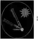 Fig. 34 - Single cell bar-coding for antibody discovery
