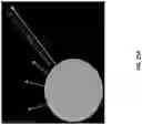 Fig. 37 - Single cell bar-coding for antibody discovery