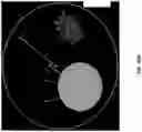 Fig. 38 - Single cell bar-coding for antibody discovery
