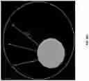 Fig. 39 - Single cell bar-coding for antibody discovery