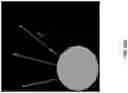 Fig. 40 - Single cell bar-coding for antibody discovery