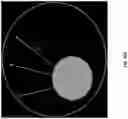 Fig. 41 - Single cell bar-coding for antibody discovery