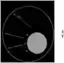 Fig. 42 - Single cell bar-coding for antibody discovery