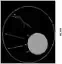 Fig. 43 - Single cell bar-coding for antibody discovery