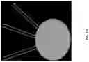 Fig. 45 - Single cell bar-coding for antibody discovery