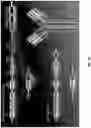 Fig. 48 - Single cell bar-coding for antibody discovery