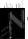 Fig. 53 - Single cell bar-coding for antibody discovery