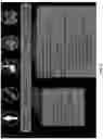 Fig. 60 - Single cell bar-coding for antibody discovery