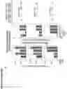 Fig. 14 - INTEGRATION OF MESA RECEPTORS AND PROMOTORS TO IMPLEMENT CUSTOMIZED CELLULAR FUNCTION
