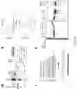 Fig. 11 - Novel Structurally Designed shRNAs