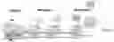 Fig. 01 - METHODS TO MODULATE PROTEIN TRANSLATION EFFICIENCY