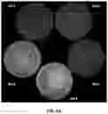 Fig. 05 - METHODS TO MODULATE PROTEIN TRANSLATION EFFICIENCY