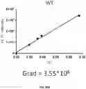 Fig. 46 - METHODS TO MODULATE PROTEIN TRANSLATION EFFICIENCY