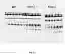 Fig. 59 - METHODS TO MODULATE PROTEIN TRANSLATION EFFICIENCY