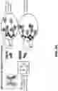 Fig. 05 - Methods to detect motor neuron disease comprising micro-RNAs