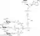 Fig. 101 - COMPOSITIONS AND METHODS FOR MODULATING COMPLEMENT FACTOR B EXPRESSION