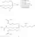 Fig. 169 - COMPOSITIONS AND METHODS FOR MODULATING COMPLEMENT FACTOR B EXPRESSION