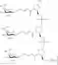 Fig. 242 - COMPOSITIONS AND METHODS FOR MODULATING COMPLEMENT FACTOR B EXPRESSION