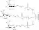 Fig. 97 - COMPOSITIONS AND METHODS FOR MODULATING COMPLEMENT FACTOR B EXPRESSION