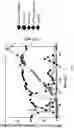 Fig. 06 - Method of producing 2′-fucosyllactose using recombinant 