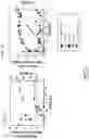 Fig. 08 - Method of producing 2′-fucosyllactose using recombinant 