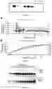 Fig. 03 - DNA and method for preparing heterodimer snake venom protein