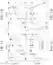Fig. 02 - Yeast strains with selected or altered mitotypes and methods of making and using the same