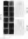 Fig. 07 - Yeast strains with selected or altered mitotypes and methods of making and using the same